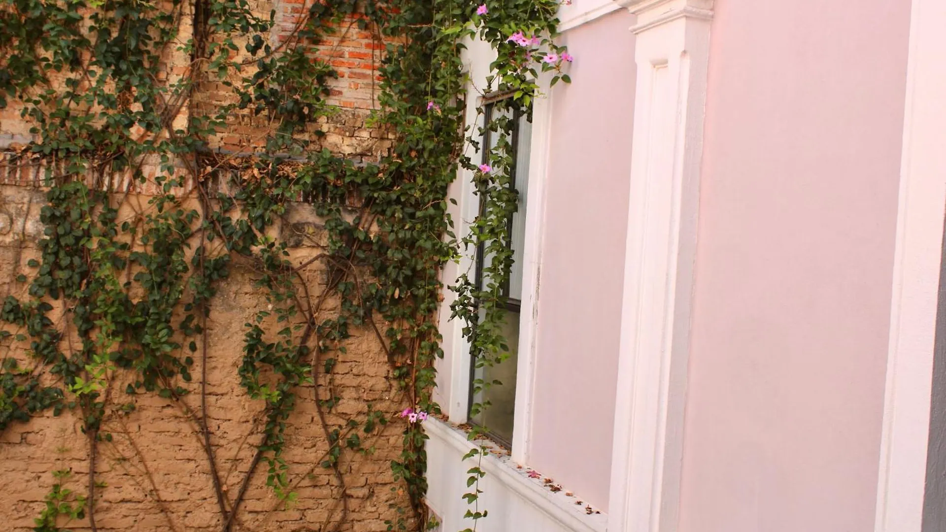 Апартаменты Casa 9 Esquinas - Granada Гвадалахара