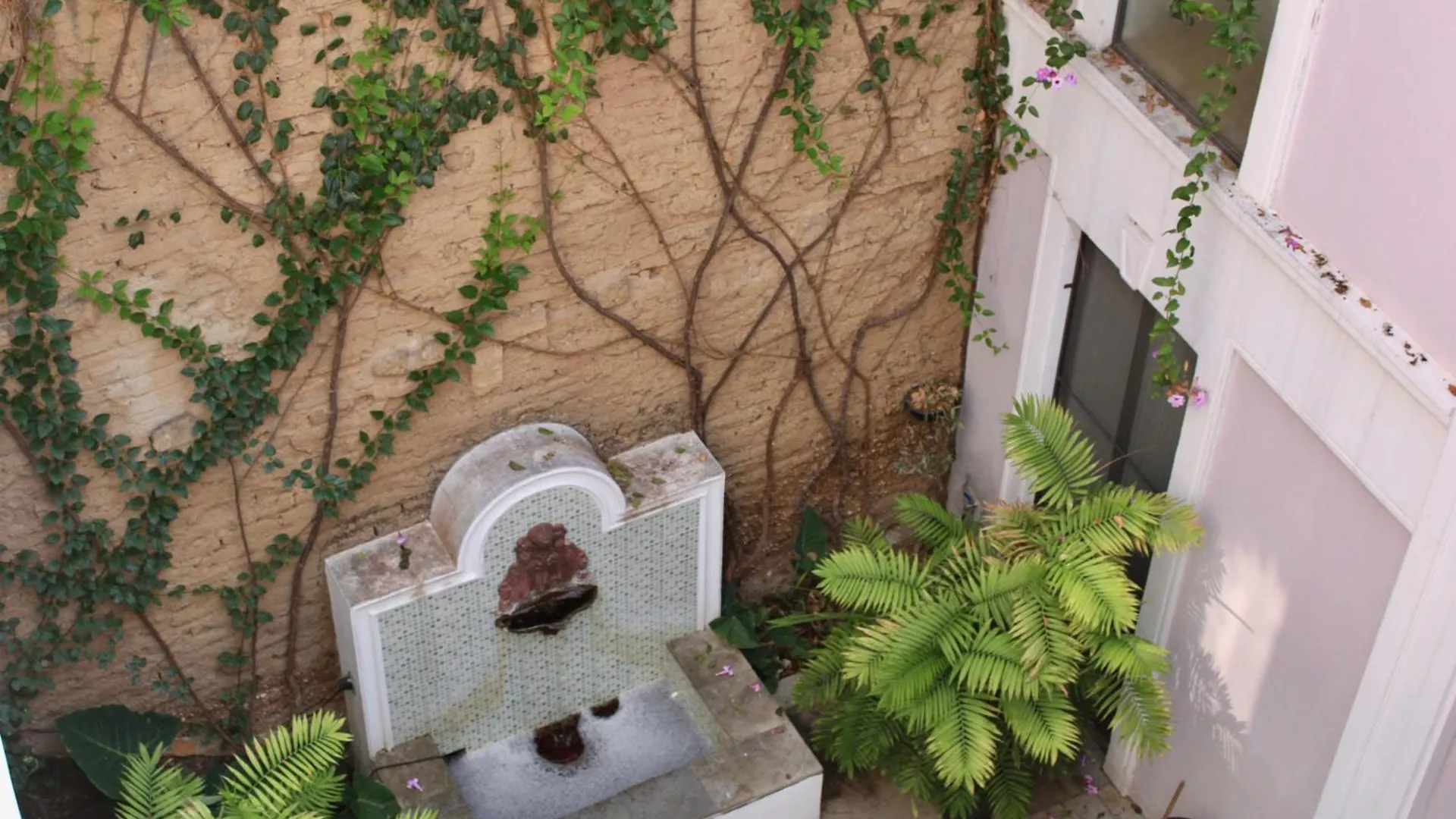 Апартаменты Casa 9 Esquinas - Granada Гвадалахара Мексика